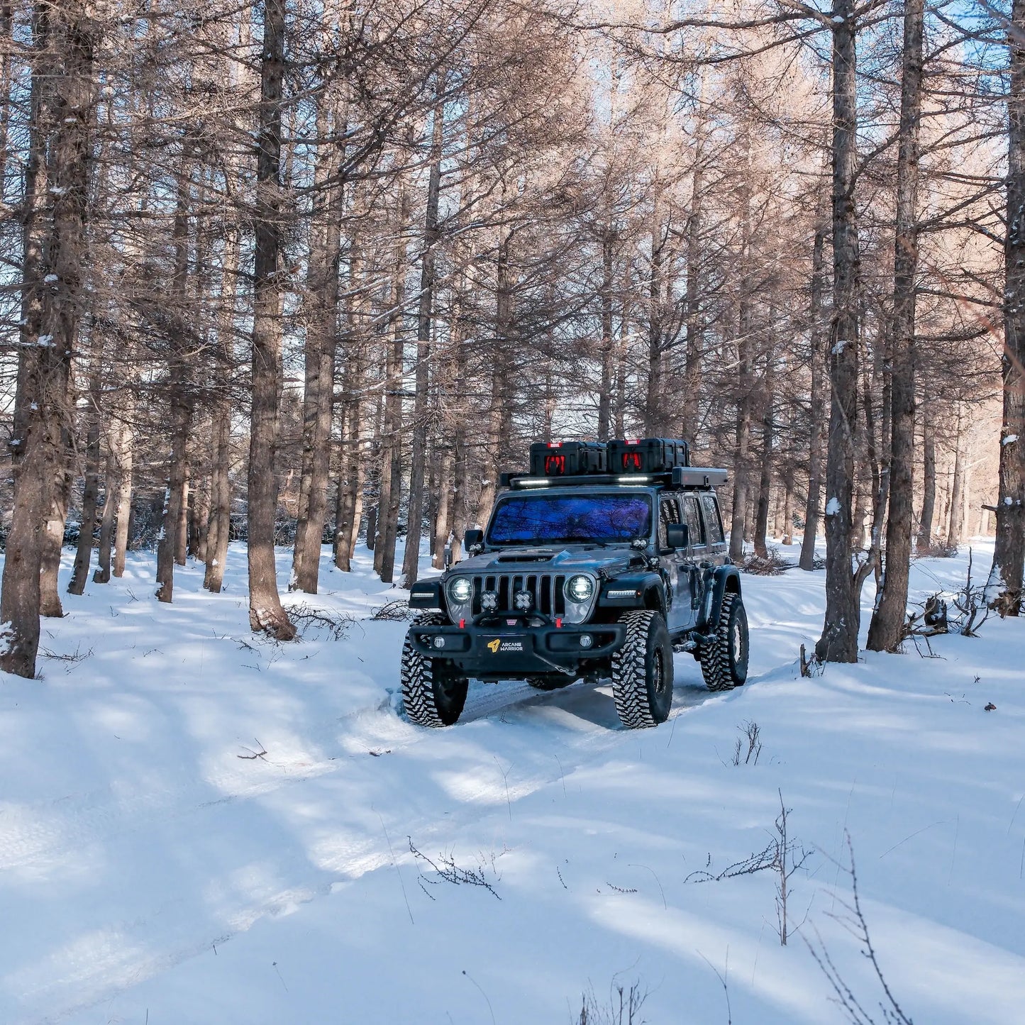 Jeep Wrangler JL M'LinkX Roof Rack Platform